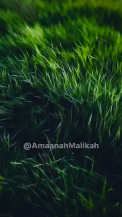 Touch grass;)