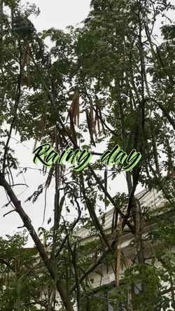 “ Rainy day “