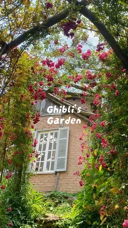 Ghibli’s garden