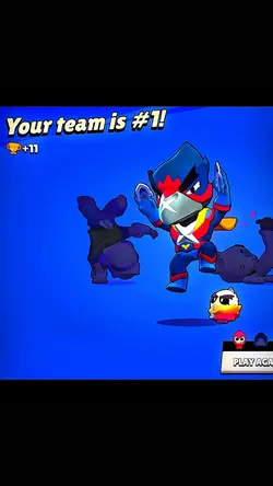 BS 2K Brawler