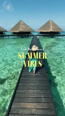 summer vibes 