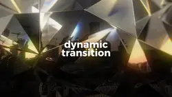 Dynamic Transition