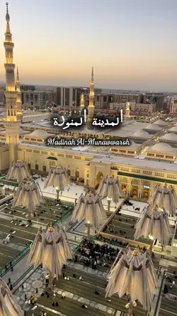 Madinah vibes