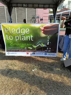tree planting