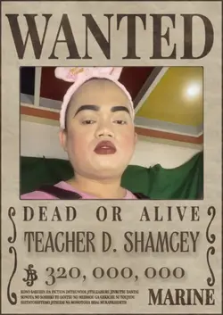 one piece wanted