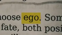 ego trend