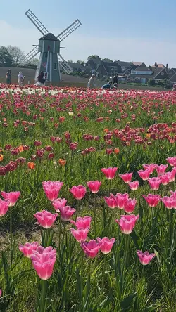 Spring