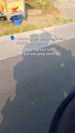 status harian