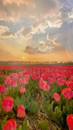 BEAUTIFUL WORLD 