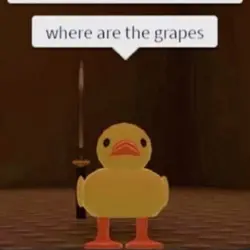 duck >:3
