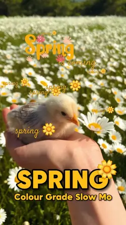 Spring is coming
