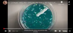 팔로우 구걸