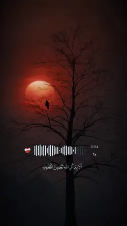 الذين امنوا وتطمئن 