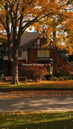 Autumn dreaming