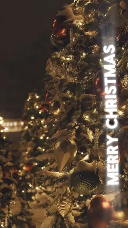 Merry Christmas❤️