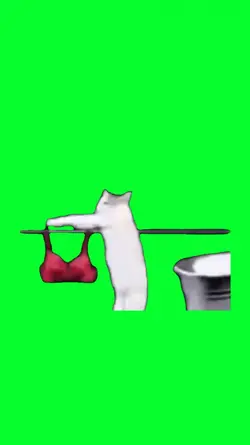 CAT WASH CLOTHES