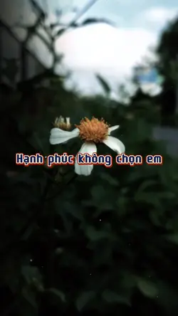 hạnh phúc ko chọn e