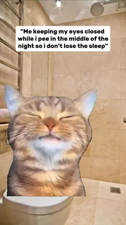 funny meme template 