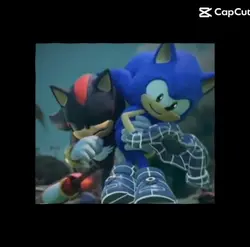 Sonic x Shadow 
