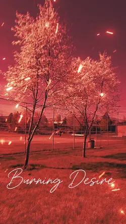 Burning Desire 