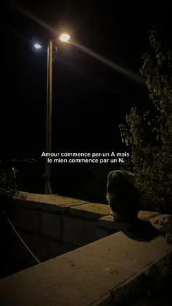 Le N 