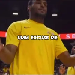 Brons bronnys guard