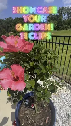 Post your garden! 