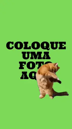 MEME GATO DANÇANDO 