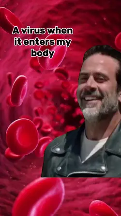 hot diggity dog