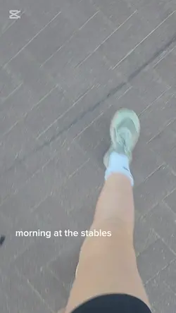 stable vlog! 