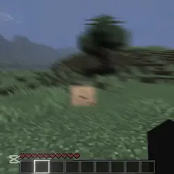 verity edit