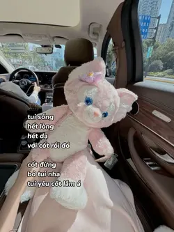 1 ảnh caption 