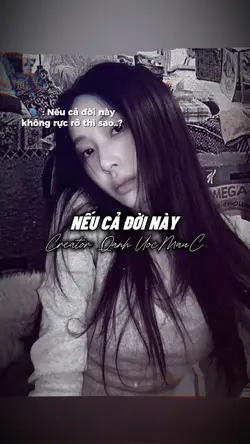 Nếu cả đời này