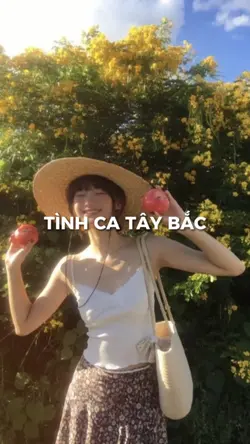Tình Ca Tây Bắc