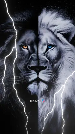 Lion Trend