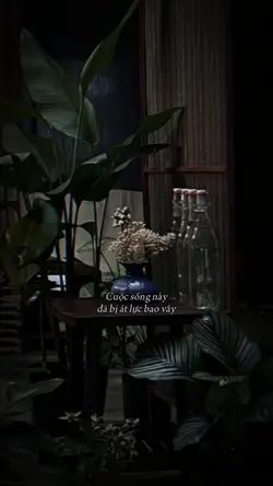 Cuộc sống này đã 