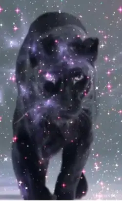 Black panthère 