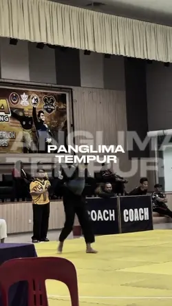 PANGLIMA TEMPUR