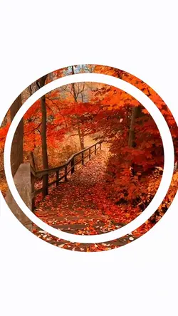 Video template 