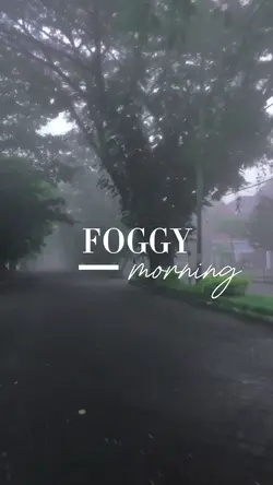 foggy morning street