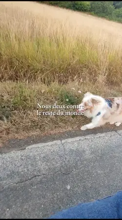 nous 2 contre le 