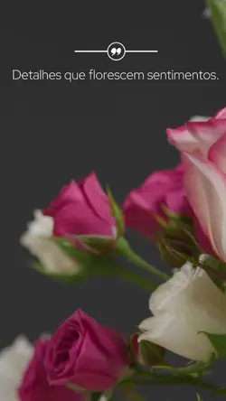 STORY FLORICULTURA