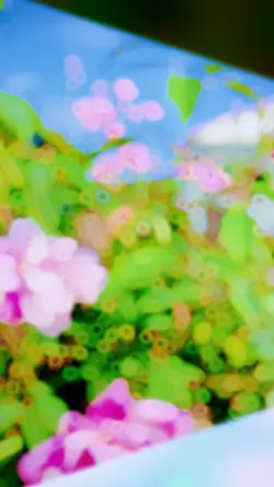 slow motion 4k video