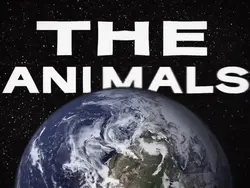 Animal free edit