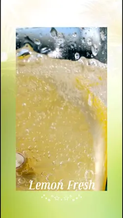 03. Lemon Fresh 