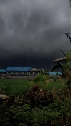 rain vibes