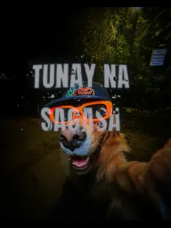 Dog Trend