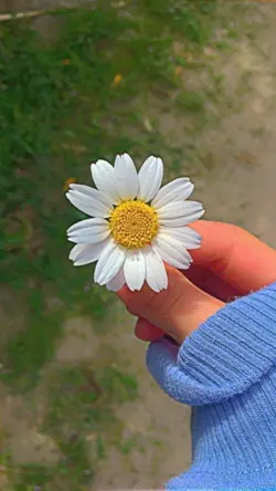 yeni şablon 