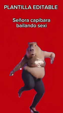Sra.Capibara baila