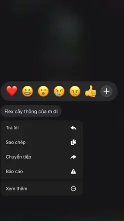 Flex cây thông noel